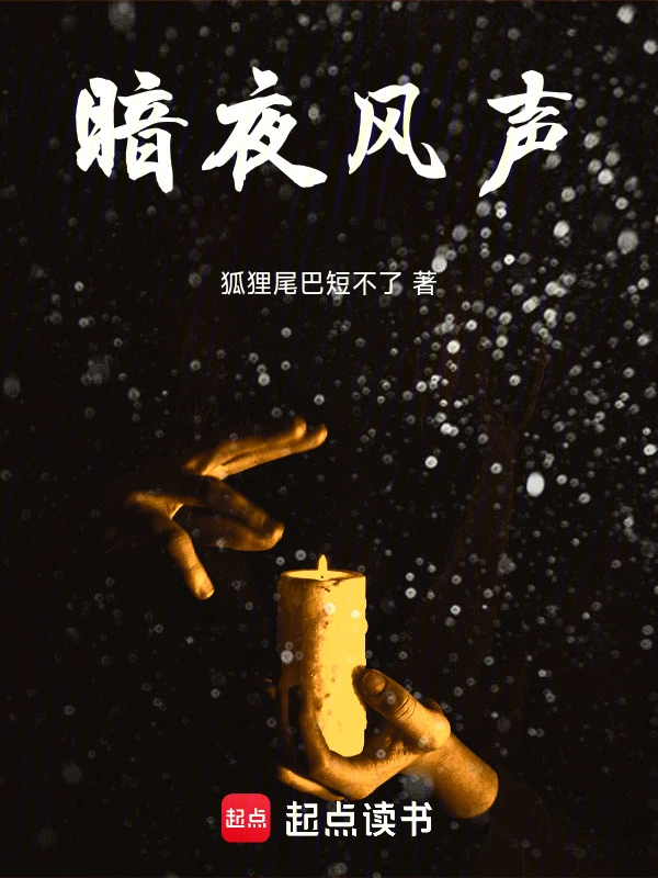 暗夜风声