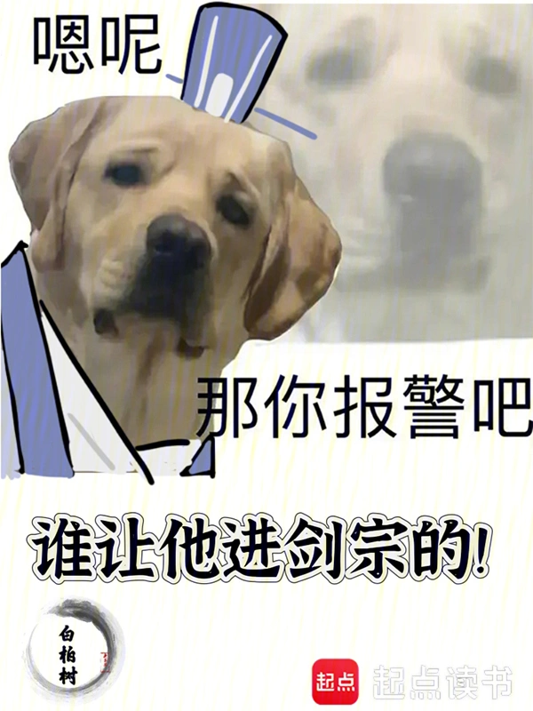 谁让他进剑宗的!