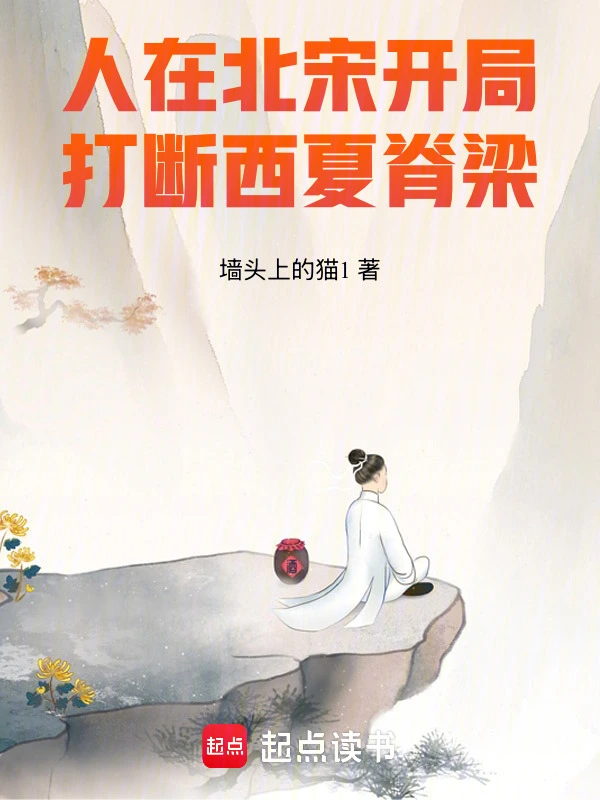 人在北宋,开局打断西夏脊梁!