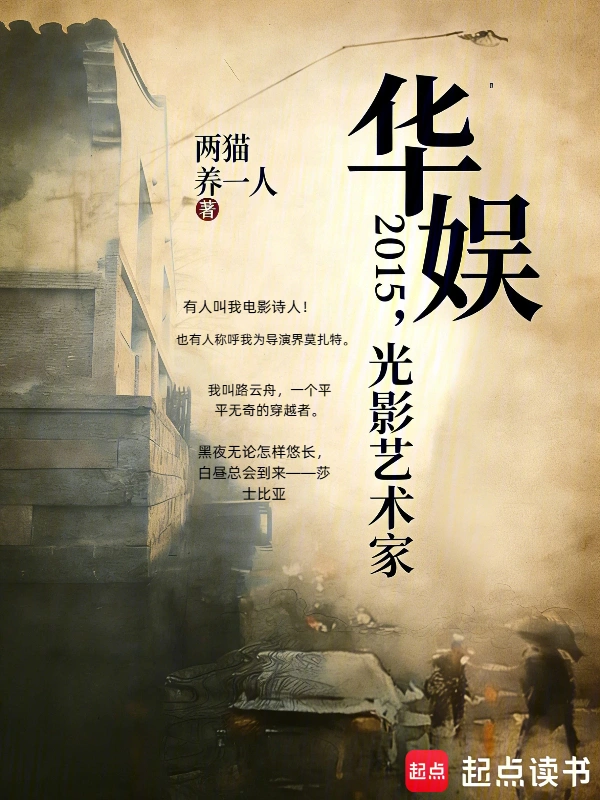 华娱2015,光影艺术家