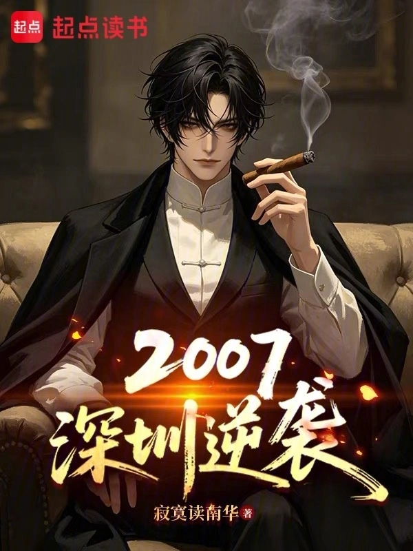 2007,深圳逆袭